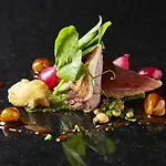 Scandic Opus