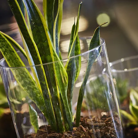 Scandic Opus Hotel Horsens