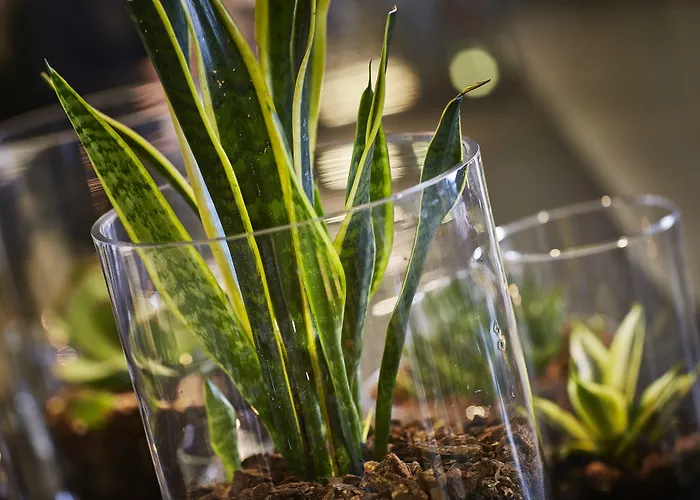 Scandic Opus Hotel Horsens